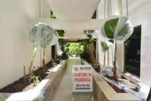 Resort Painting Port Douglas